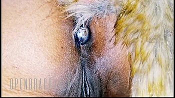 Wife Farting Husband Sucking Her Fatty Ass