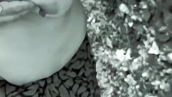 Taking Me To The Forest, She Said, Fuck Me, Rajaji, I Am Feeling Very