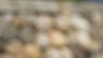 Dream With Me, Darling