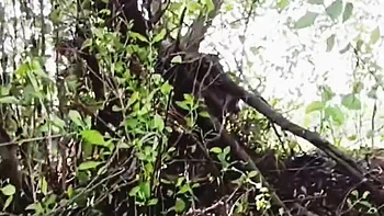 Bhabhi Jungle Apni Stepbrother-in-law Se Ass Marawana Chahta Rahi Aur Stepbrother-in-law Stepsister-in-law Ki Aaj Gad Maar Ega Badi Loud Se