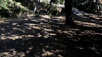 Girl Gets Her Ball From The Neighbor And Gets A Good Balling