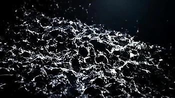 Harmonious Vanessa Hell and Angel Wicky at fetish xxx