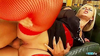 Adorable Kitten At Doggystyle Trailer