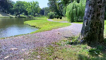 Babe morena hace blowjob POV al aire libre