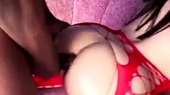 Ariana Slavens follada duro a cuatro patas con medias