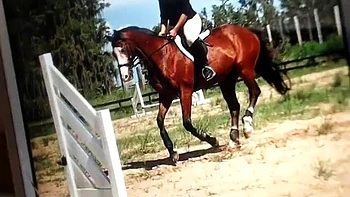 Грубая любительница с огромными сиськами: соло вебкам