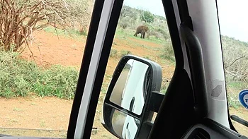 Heißes schwarzes Girl bittet um hardcore Doggy-Fick