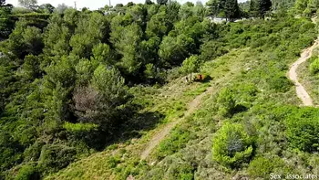 Drone catches young couple fucking outdoors