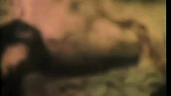 Putain Cicciolina baisée par les grosses bites de Rocco Siffredi et Roberto Malone