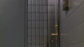 Brune milf aux gros nichons naturels se fait baiser