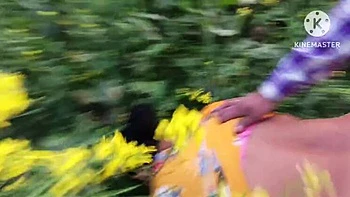 Brother-in-Law Fucks New Sister-in-Law Hard in Mustard Field - Outdoor Anal Sex with Indian Bhabhi