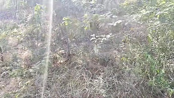 Ich fickte die Ziegenhirt-Schwägerin im Wald