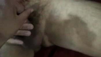 Belle-mère chaude Susan baise le beau-fils pour sexe familial tabou