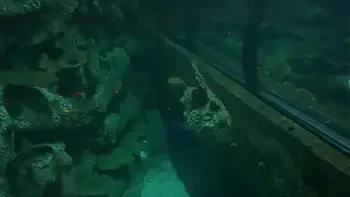 Aquarium Trip with Aliya Brynn Turns Into Aggreive Ass Eating and Milking