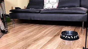 Femdom Puppy Play - Mommy Lora Pees in Her Boy's Bowl