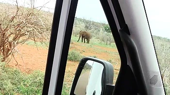 Horny Black Girlfriend Demands Big Cock