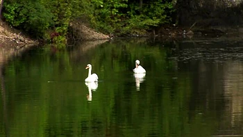 Rocking Caylian Curtis and Divinity Love - blonde big boobs dirt - LESBIAN GIRLFRIENDS